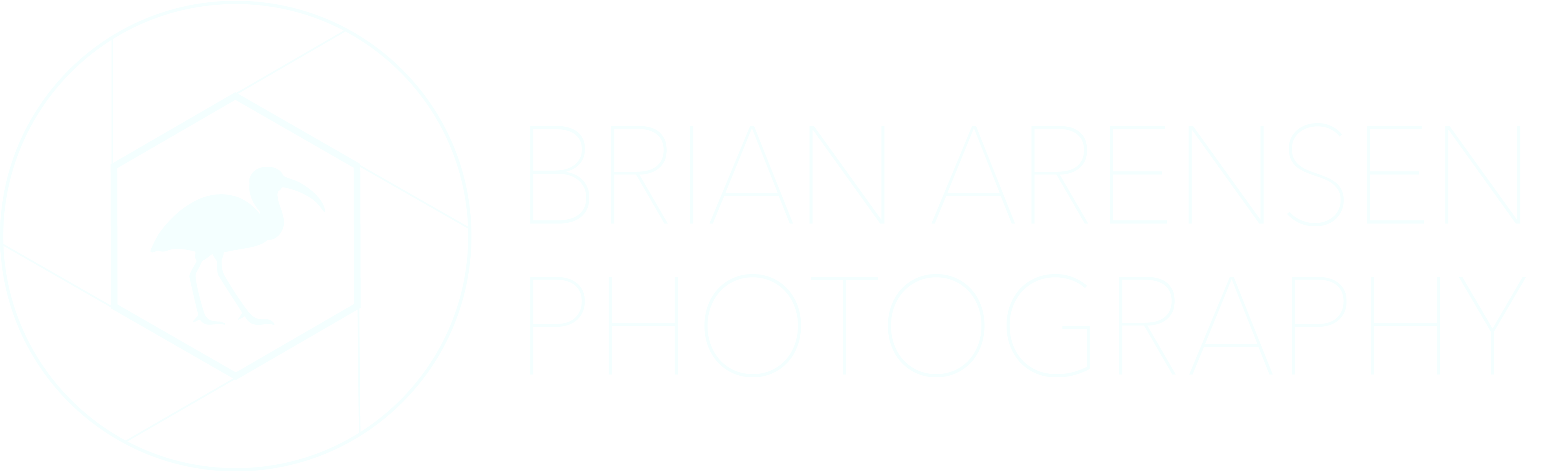 Brian Arensen Photography